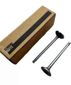 6L ISLe QSL8.9 QSL9 intake valve 4089761 3970727 exhaust valve 4089762 3969637 guide 3942645 valve spring 4936076 for Cummins