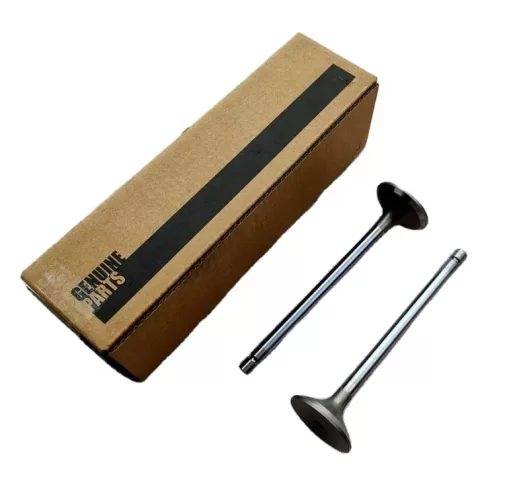 6L ISLe QSL8.9 QSL9 intake valve 4089761 3970727 exhaust valve 4089762 3969637 guide 3942645 valve spring 4936076 for Cummins