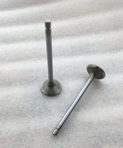 6L ISLe QSL8.9 QSL9 intake valve 4089761 3970727 exhaust valve 4089762 3969637 guide 3942645 valve spring 4936076 for Cummins
