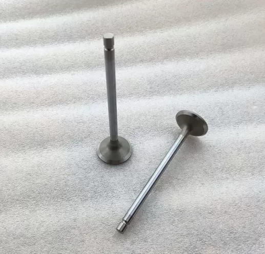 6L ISLe QSL8.9 QSL9 intake valve 4089761 3970727 exhaust valve 4089762 3969637 guide 3942645 valve spring 4936076 for Cummins