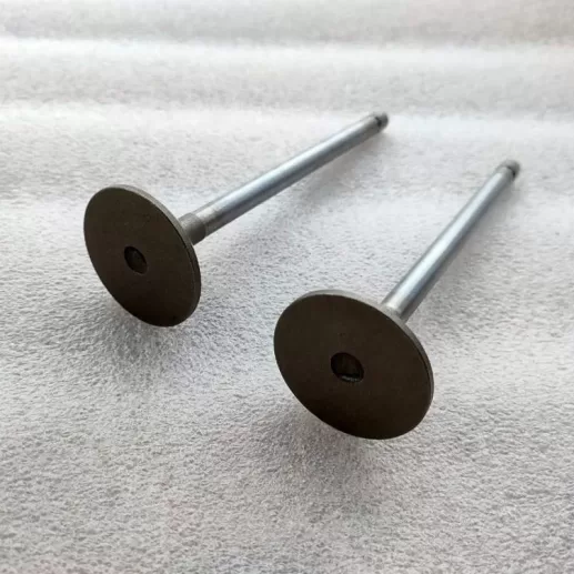 6L ISLe QSL8.9 QSL9 intake valve 4089761 3970727 exhaust valve 4089762 3969637 guide 3942645 valve spring 4936076 for Cummins
