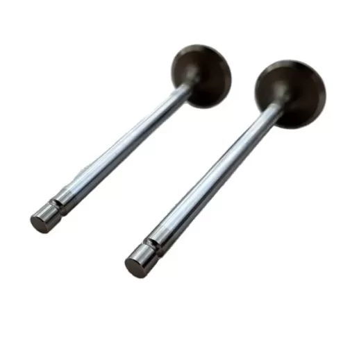 6L ISLe QSL8.9 QSL9 Intake valve 4981794 5307875 5259420 5259419
