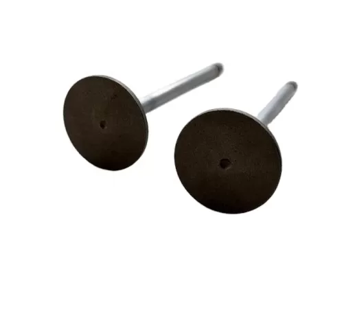 6L ISLe QSL8.9 QSL9 Intake valve 4981794 5307875 5259420 5259419