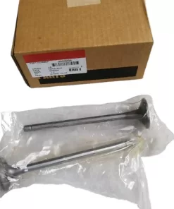 L10 LT10 Intake valve 3033234 3801356  3417713