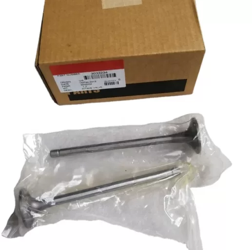 L10 LT10 Intake valve 3033234 3801356  3417713