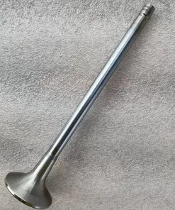L10 LT10 Intake valve 3033234 3801356  3417713