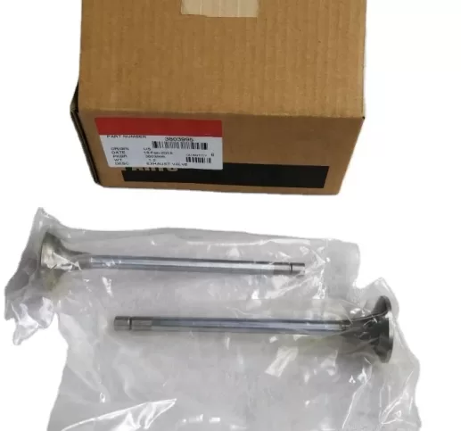 L10 LT10 exhaust valve 3803995 3801357 3417713 for Cummins