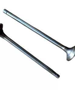 M11 LT10  Intake  valve 3696764 4330283 4926069 4986317 3927254 5338714 3800636 3068828 3080975 3417778 3418020 3800638 3803310
