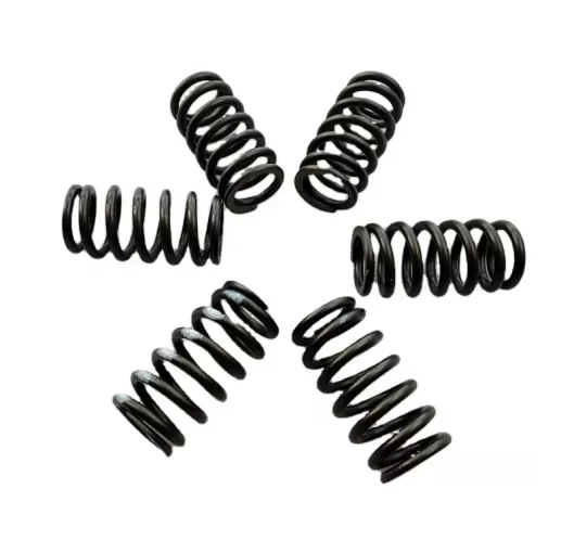 Engine compression spring 3026926 3001155 3010146 3014756 3018767 3023101 3030803 3039296 3042427 3042428 3882586 3883524