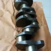 B3.3 QSB3.3 4D95 crankshaft C6204211513 C6204211503 C6204311201 C6204311111 5254546 4941116 3329036