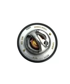 ISBe ISDe QSB QSB6.7 ISB6.7 thermostat 3974823 3973834 for Cummins
