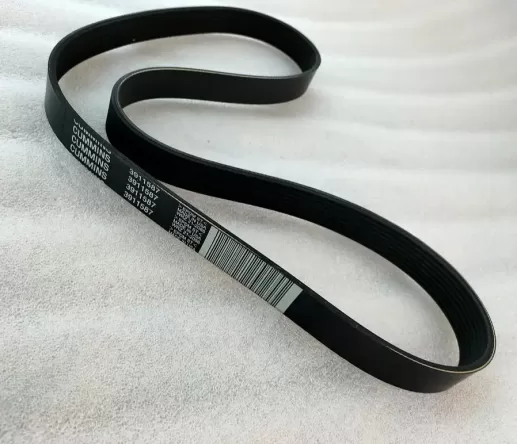 M11 ISM11 QSM11 engine V ribbed belt 3911587 3906384 3288689 - Image 3