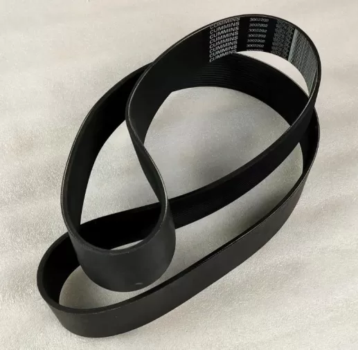 V ribbed belt 3002202 3002203 5412996 for Cummins engine - Image 2
