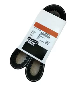 NT855 NTA855 fan belt V ribbed belt 4296936