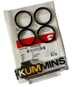 ISX QSX15 ISX15 M11 QSM ISM O ring seal 145531 3032787 3033248 3033247 3035026 3046201 3047188 3024469