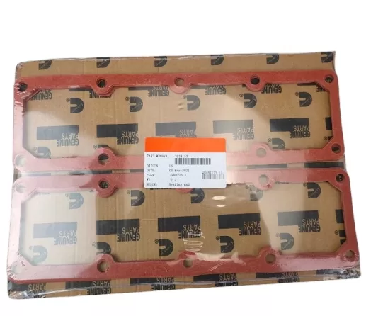 Cummins intake manifold gasket 3938153
