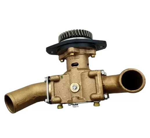 6CT8.3 sea water pump 5265994 3866493 5265996 3964765 3897691 QSB 3967246