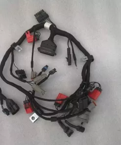 QSB5.9 B5.9 electronic control module wiring harness 3992221